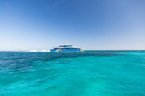 Rottnest Island Fortress Adventure Segway Package From Fremantle - Accommodation Whitsundays 0