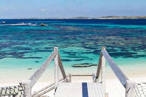 Rottnest Island Bike, Snorkel & Ferry Package From Perth - Accommodation Whitsundays 4