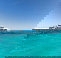Rottnest Island Bayseeker Day Trip from Perth - Accommodation Whitsundays