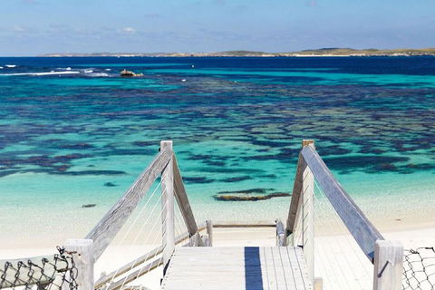 Rottnest Island Bayseeker Day Trip From Perth - Accommodation Whitsundays 3