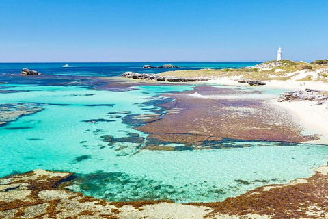 Rottnest Island Bayseeker Day Trip From Perth - Accommodation Whitsundays 4