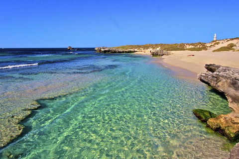 Rottnest Island Bayseeker Day Trip From Perth - Accommodation Whitsundays 5
