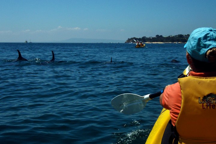  Accommodation Whitsundays