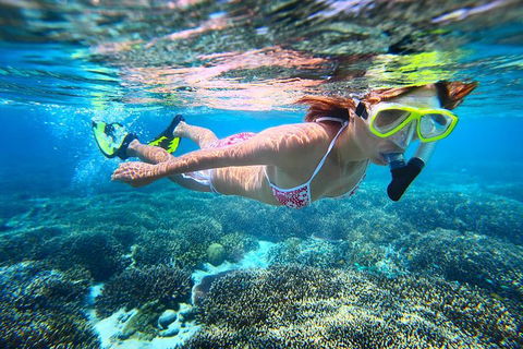 Abrolhos Islands Scenic Flight & Snorkel Adventure From Perth - Accommodation Whitsundays 1