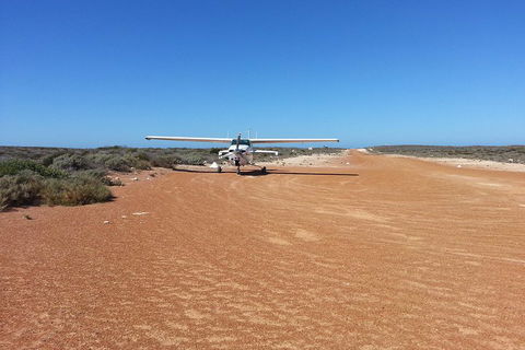 Abrolhos Islands Scenic Flight & Snorkel Adventure From Perth - Accommodation Whitsundays 3