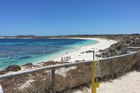 Wave Rock, Pinnacles And Rottnest One Day Aeroplane Tour - Accommodation Whitsundays 2