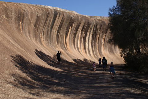 Wave Rock, Pinnacles And Rottnest One Day Aeroplane Tour - Accommodation Whitsundays 4