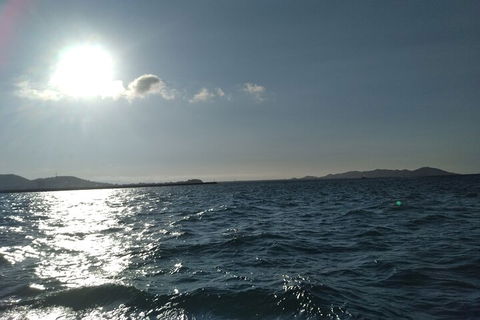 Townsville Small Group Early Morning Sailing Cruise Boat Tour Charter Hire - Accommodation Whitsundays 4
