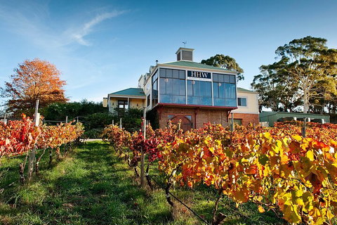 Adelaide Hills Food, Wine, Cheese, & Chocolate - Private Day Tour - Accommodation Whitsundays 3