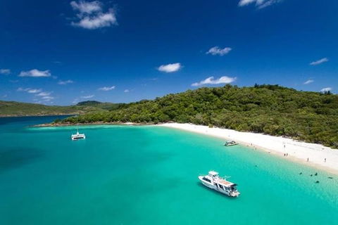 Whitehaven Beach And Hill Inlet | Awesome Beach BBQ | Family Friendly - Accommodation Whitsundays 3