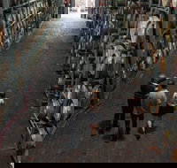 Wirra Wirra Vineyard McLaren Vale Winery Tour and Shiraz Masterclass - Accommodation Whitsundays