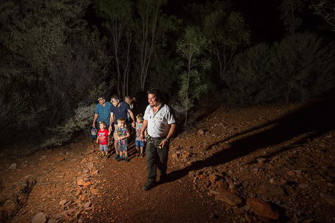 Alice Springs Desert Park Nocturnal Tour - Accommodation Whitsundays 0