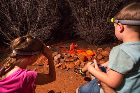 Alice Springs Desert Park Nocturnal Tour - Accommodation Whitsundays 4