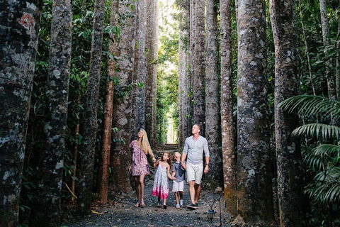 The Original Day Tour To Paronella Park, Lake Barrine And Millaa Millaa Falls - Accommodation Whitsundays 1