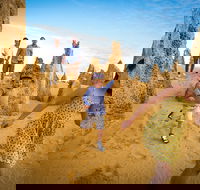 Full-Day Pinnacles Desert and Yanchep National Park Tour From Perth - Accommodation Whitsundays