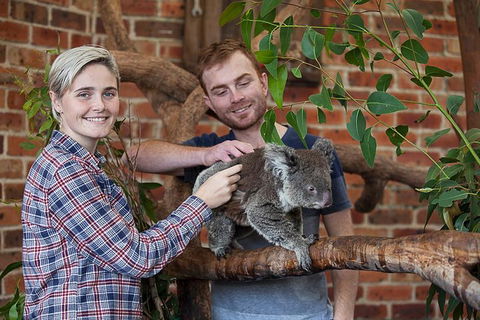 Private Tour: Blue Mountains Day Trip From Sydney - Accommodation Whitsundays 0