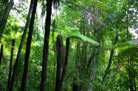 Private Tour: Blue Mountains Day Trip From Sydney - Accommodation Whitsundays 4