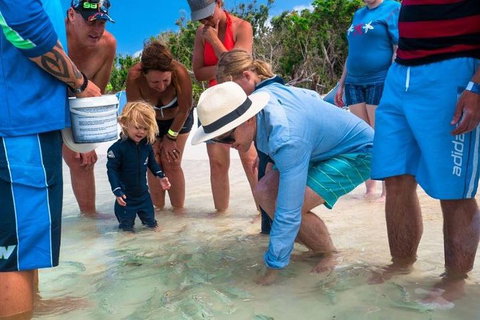 Whitehaven Beach And Hamilton Island Cruise - Accommodation Whitsundays 1