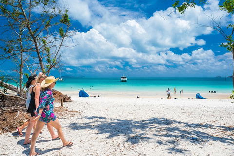 Whitehaven Beach Half-Day Cruises - Accommodation Whitsundays 1