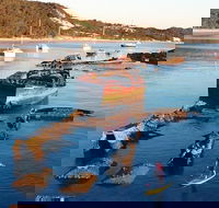 Adventure Moreton Island Wrecks Adventure Package - Accommodation Whitsundays