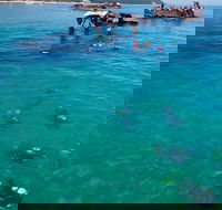 Adventure Moreton Island Scuba Dive Tour - Accommodation Whitsundays
