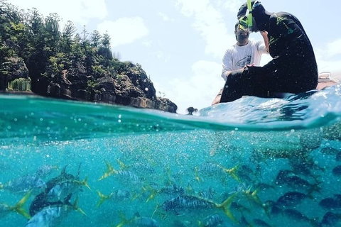 2 Night Small Group Whitsundays Sailing Adventure Aboard Mandrake - Accommodation Whitsundays 5