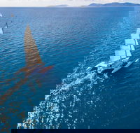 2-Night Whitsunday Islands Sailing Adventure on Trimaran Avatar - Accommodation Whitsundays