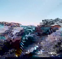 Wave Break Island Scuba Diving on the Gold Coast - Accommodation Whitsundays