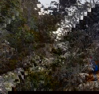 kunanyi / Mt. Wellington Guided Hiking Tour - Accommodation Whitsundays