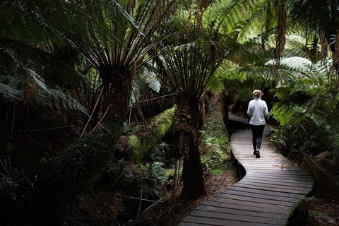 Private Tour Of Melbourne - Accommodation Whitsundays 2