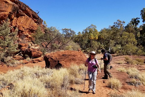Palm Valley And Hermannsburg 1 Day 4WD Tour - Accommodation Whitsundays 1