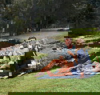 Mt Tamborine - Hinterland Wonders Self Guided - Accommodation Whitsundays