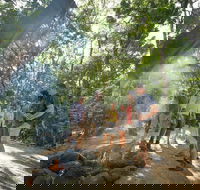Mossman Gorge Adventure Day - Accommodation Whitsundays