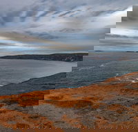 Kangaroo Island Luxury Small Group 'Flinders Chase Focus' Full Day Tour - Accommodation Whitsundays