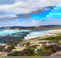 Kangaroo Island Luxury Small Group 'East End Explorer' Full Day Tour - Accommodation Whitsundays
