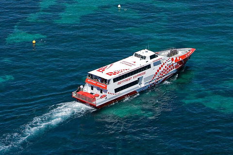 Discover Rottnest With Ferry & Bus Tour From Perth Or Fremantle - Accommodation Whitsundays 3