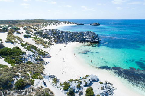 Discover Rottnest With Ferry & Bus Tour From Perth Or Fremantle - Accommodation Whitsundays 5