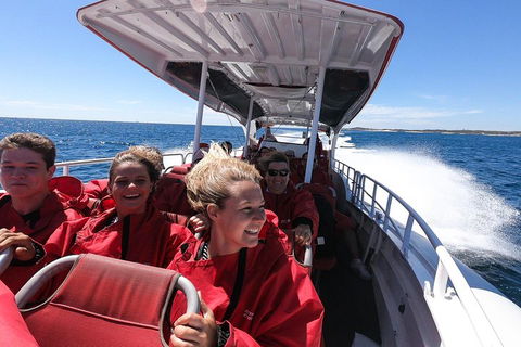 Adventure Rottnest Tour With Ferry & Adventure Cruise From Perth Or Fremantle - Accommodation Whitsundays 0