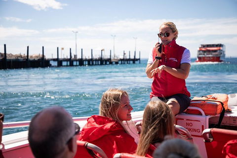 Adventure Rottnest Tour With Ferry & Adventure Cruise From Perth Or Fremantle - Accommodation Whitsundays 4