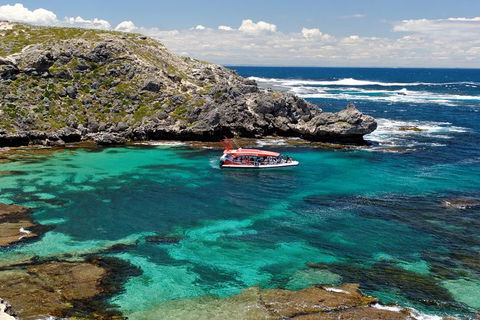 Adventure Rottnest Tour With Ferry & Adventure Cruise From Perth Or Fremantle - Accommodation Whitsundays 5