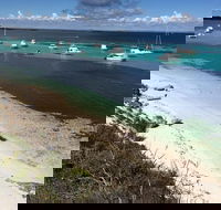 Experience Rottnest with Ferry  Bike Hire from Perth or Fremantle - Accommodation Whitsundays
