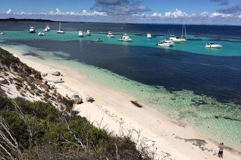 Experience Rottnest With Ferry & Bike Hire From Perth Or Fremantle - Accommodation Whitsundays 0