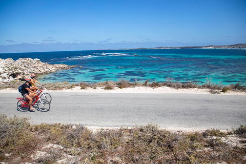 Experience Rottnest With Ferry & Bike Hire From Perth Or Fremantle - Accommodation Whitsundays 2