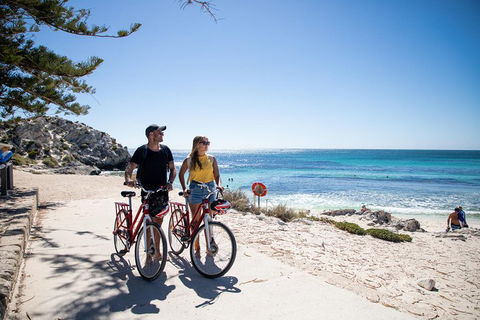 Experience Rottnest With Ferry & Bike Hire From Perth Or Fremantle - Accommodation Whitsundays 4