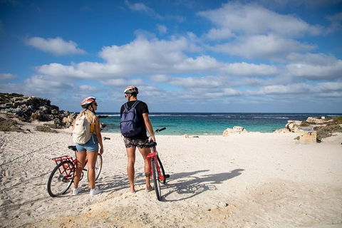 Experience Rottnest With Ferry & Bike Hire From Perth Or Fremantle - Accommodation Whitsundays 5