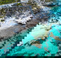 Rottnest Island Round-Trip Ferry from Perth or Fremantle - Accommodation Whitsundays