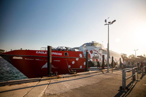 Rottnest Island Round-Trip Ferry From Perth Or Fremantle - Accommodation Whitsundays 2