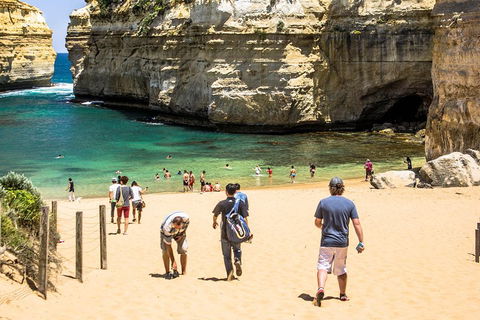 Small-Group Great Ocean Road Classic Day Tour From Melbourne - Accommodation Whitsundays 5