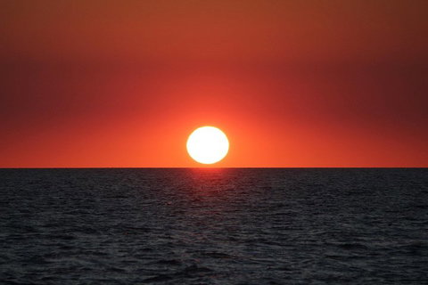 Roebuck Bay Snubfin Dolphin Cruise - Accommodation Whitsundays 3