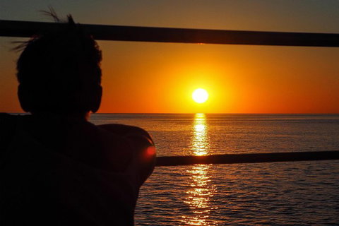 Roebuck Bay Snubfin Dolphin Cruise - Accommodation Whitsundays 4